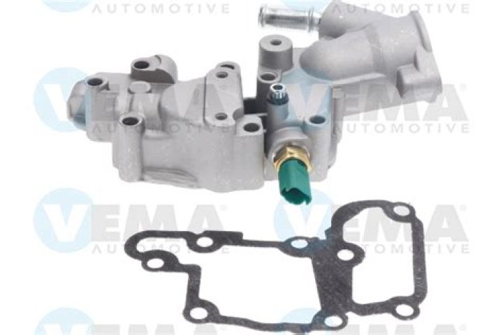 Who is Joel McHale's Wife, Sarah Williams? - SarkariResult