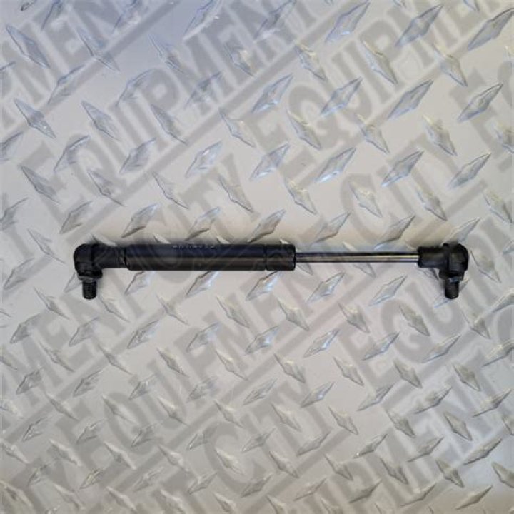 Shenae Grimes Net Worth: Details About Movies, Shows, Age, husband, TV - SarkariResult